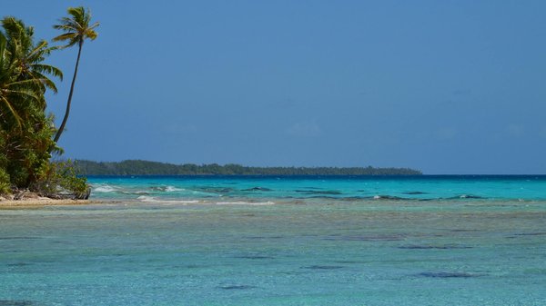 Comment organiser un camping pour pratiquer la photographie de la faune nocturne?