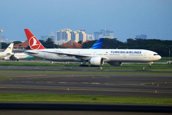 Où observer les lions dans leur habitat naturel au Botswana?